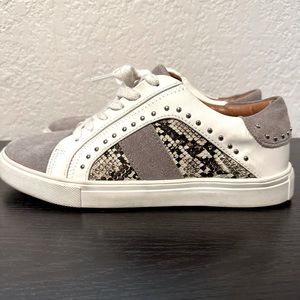 Steve Madden Tennis Shoes